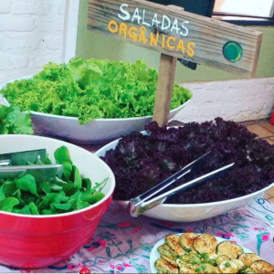 restaurante-magias-da-terra-ecovila-pau-brasil2