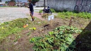horta-comunitaria-papangu4
