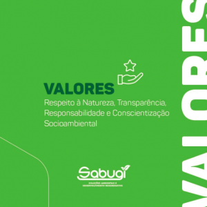 sabugi-ambiental-valores