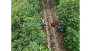 sabugi-ambiental_2025-01