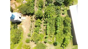 sabugi-ambiental_2025-02