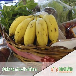 horta-viva-armazem-do-organico2