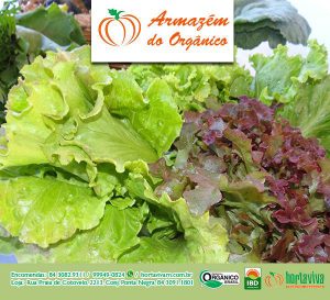horta-viva-armazem-do-organico3