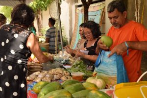 feira agroecológica da Rede Xique Xique