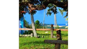 ecoparque-guarairas_05