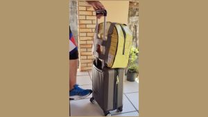 viro-bolsas-sustentaveis_07