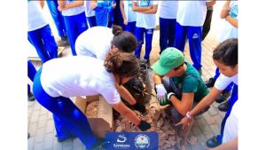 ninhodoverdecompostagem_escolas