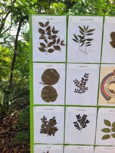 coletivo-carcara-RN_foto13