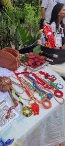 coletivo-carcara-RN_foto6