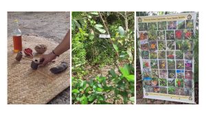 coletivo-carcara_banner