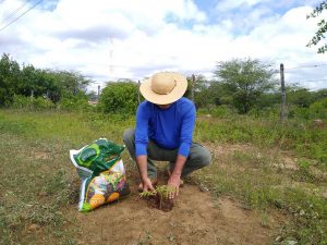 replantar-a-caatinga-e-a-solucao_92.jpeg